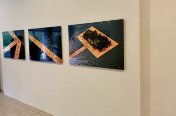 IMG_9823 IMG_9823