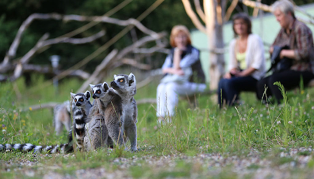 Zoo RostockDanny Gohlke (2)