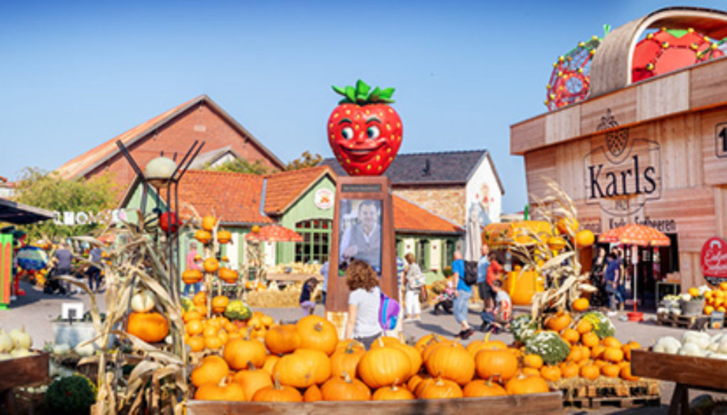 Kürbismarkt