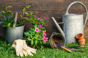 plants-pot-with-watering-can_web