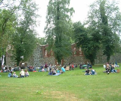 Picknick an der Ruine